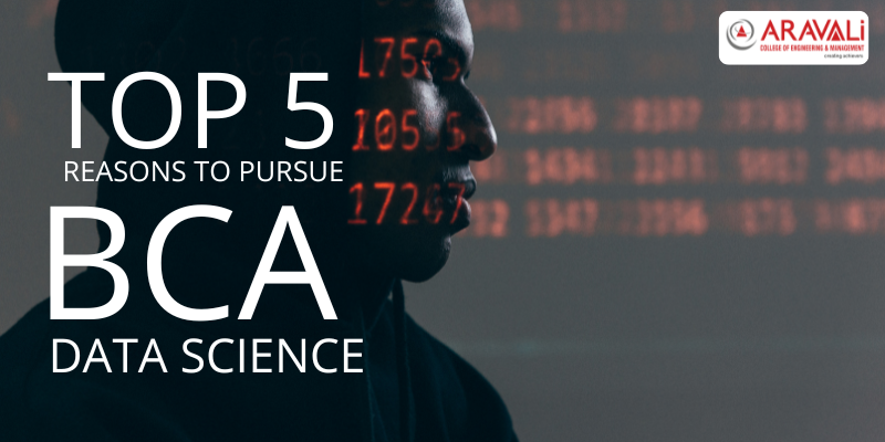 top 5 reasons to pursue bca data science